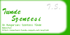 tunde szentesi business card